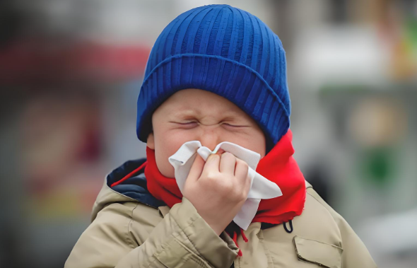 How many times a day should chronic rhinitis be rinsed