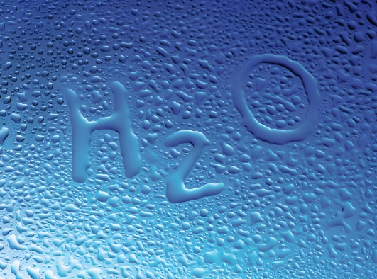 What's the safest way to rinse your nasal cavity