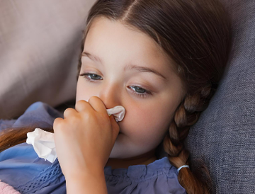 What are those hard objects that come out of the sinuses?