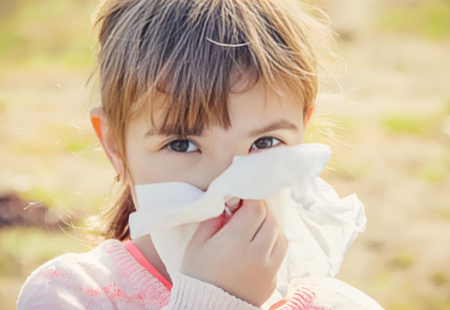 What are the four main symptoms of allergic rhinitis