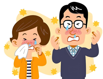When does allergic rhinitis occur in a year